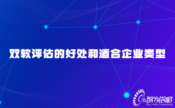 雙軟評(píng)估的好處和適合企業(yè)類型.jpg