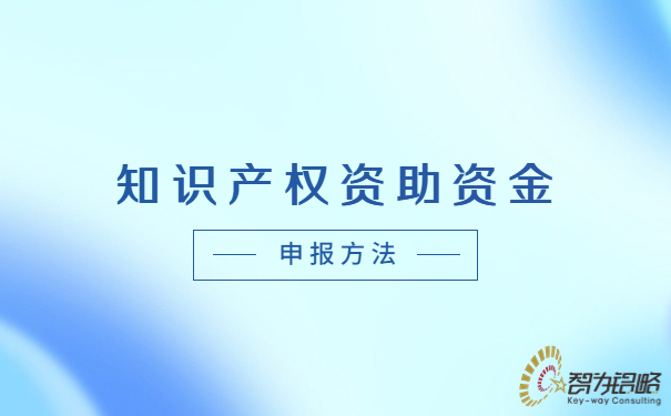知識產(chǎn)權(quán)資助資金申報(bào)方法.jpg