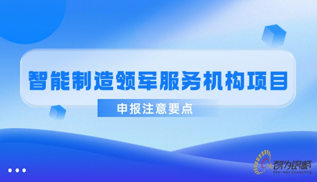 智能制造領(lǐng)軍服務(wù)機(jī)構(gòu)項目咨詢注意要點.jpg