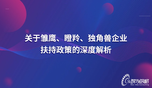關(guān)于雛鷹、瞪羚、獨(dú)角獸企業(yè)扶持政策的深度解析.jpg