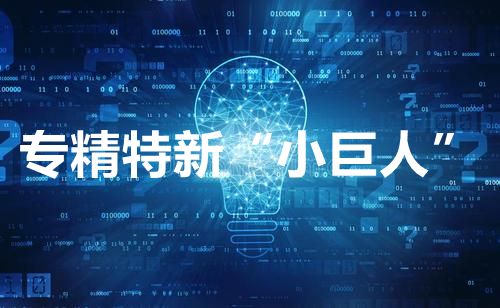 關于印發(fā)蘇州高新區(qū)（虎丘區(qū)）促進中小企業(yè)“專精特新”高質(zhì)量發(fā)展行動計劃通知【智為銘略轉發(fā)】